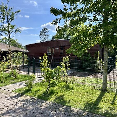 Vrijstaand Chalet Met Veel Buitenruimte En Veranda Zuid-Scharwoude Dış mekan fotoğraf