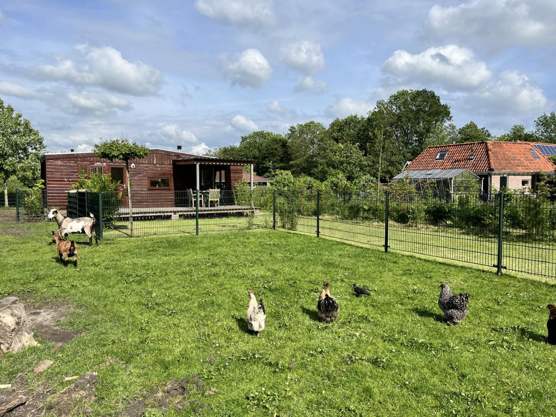 Vrijstaand Chalet Met Veel Buitenruimte En Veranda Zuid-Scharwoude Dış mekan fotoğraf